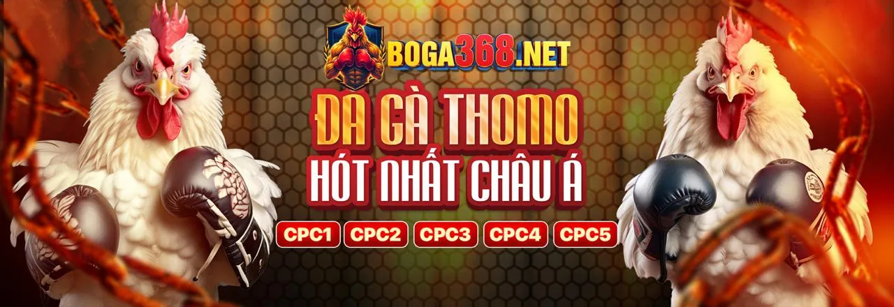 Các loại kèo cược đá gà iwin88